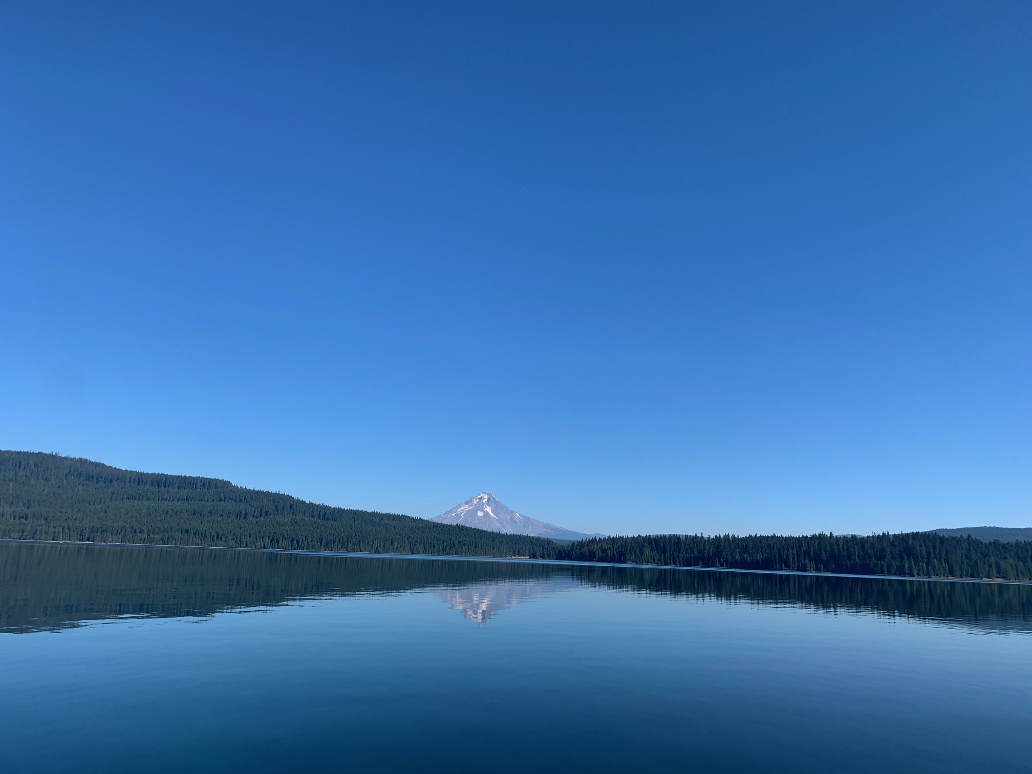 View of Mt. Hood from Timothy Lk.